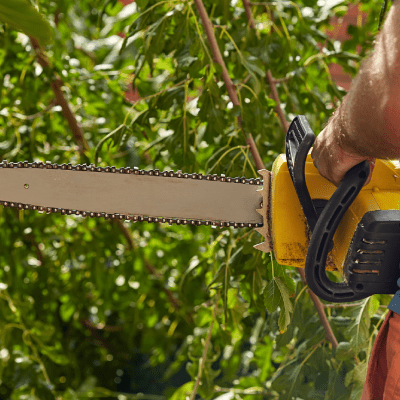 TREE TRIMMING